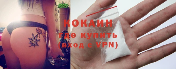 мдпв Киреевск