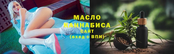 гидра Кинешма