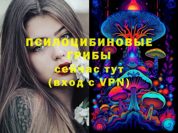 мдпв Киреевск