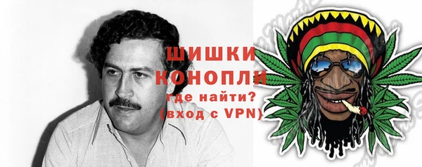 мдпв Киреевск